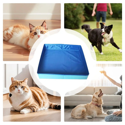 dog kiddie folding pool in blue, perfect for puppy and cat bathing, shown with pets around it.
