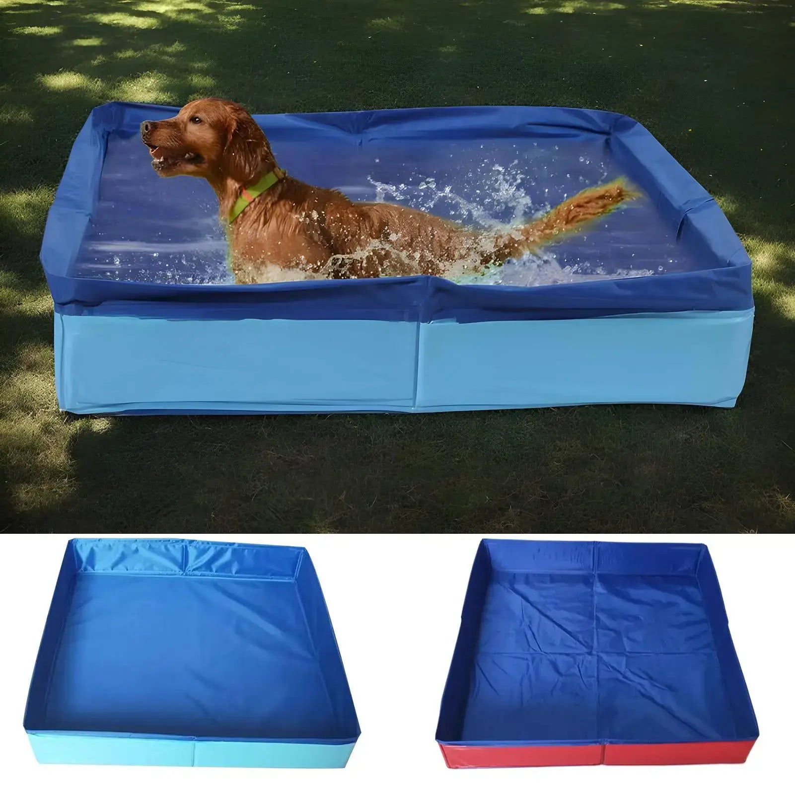 Dog kiddie folding pool with a dog splashing in water, available in multiple colors for easy storage and transport.