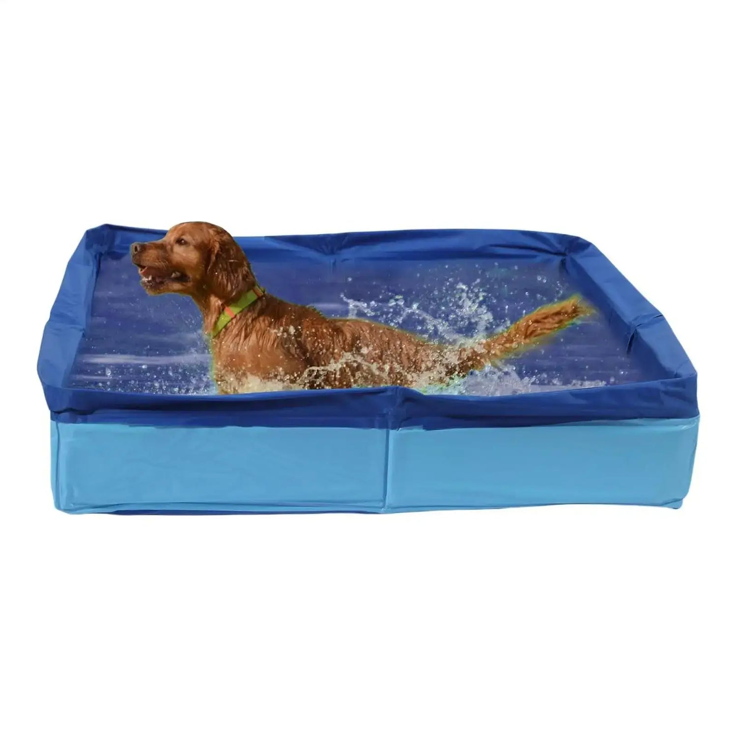 Dog Kiddie Pool PVC folding swimming pool for dog with a golden retriever splashing in water.