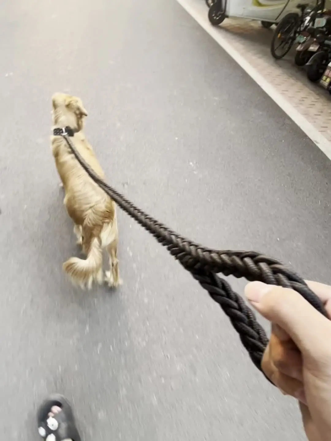 Dog leash for effective training and comfortable walking, strong and durable braid, suitable for large dogs, dog training leash.