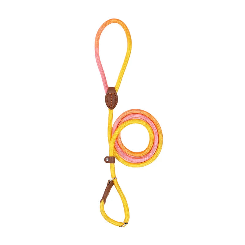 Dog Leashes Dog Slip Lead Dog Training Leash Strong Heavy Duty Braided No Pull Training Lead Leashes for Small Medium Large Dogs