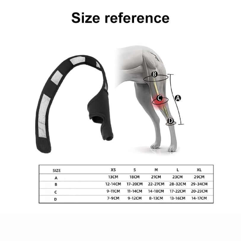 Size reference image for dog leg injury support brace with measurement guidelines for optimal fit.