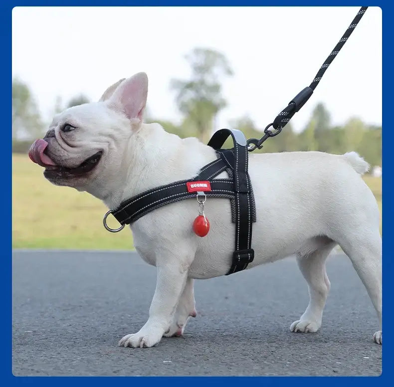 NEW Dogs Harness Saddle-type Pet Chest Strap for Small Medium Large Dogs Harnesses Puppy Collar Outdoor Walking Dogs Supplies