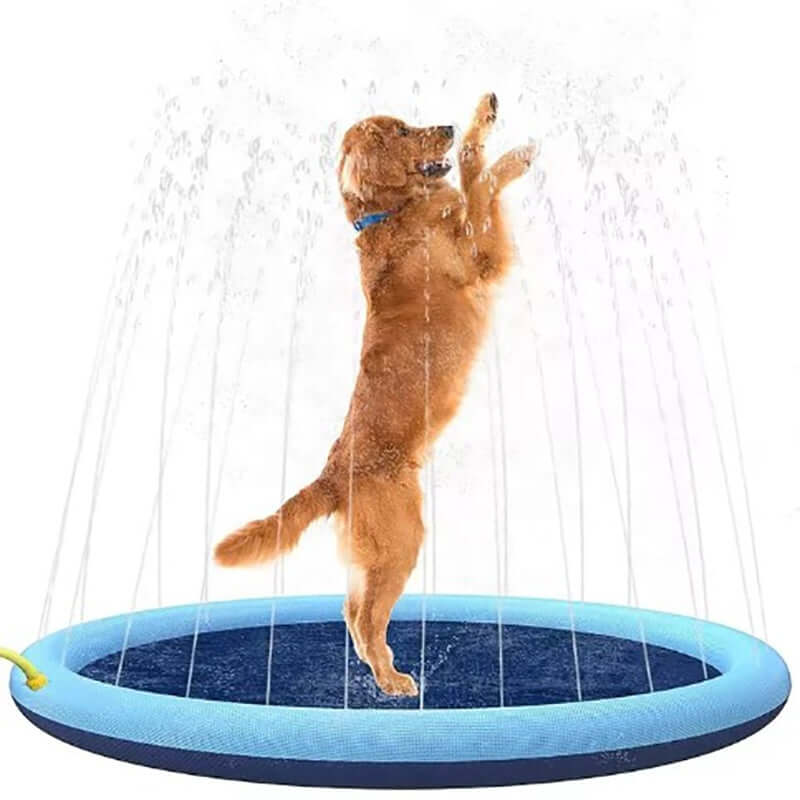 Dog playing in an outdoor dog swimming mat splash pad with water spraying around.