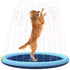 Dog playing in an outdoor dog swimming mat splash pad with water spraying around.