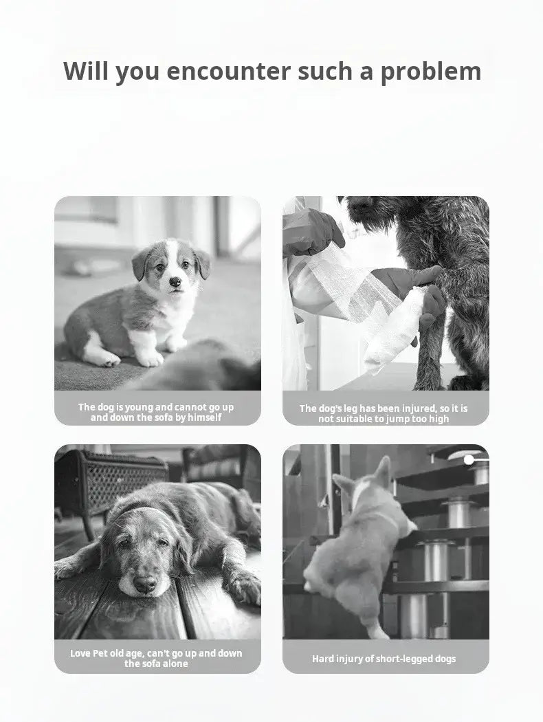 dog stairs for older dogs help pets with joint pain, senior dogs, and puppies reach sofas and beds safely