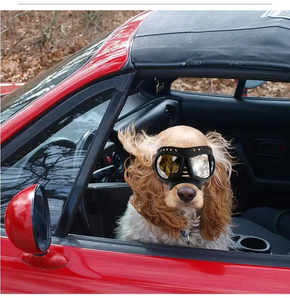 Cool Dog Sun Glasses UV Protection Windproof Goggles Pet Eye Wear Dog Swimming Skating Glasses Pet Accessories