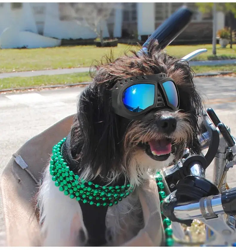 Cool Dog Sun Glasses UV Protection Windproof Goggles Pet Eye Wear Dog Swimming Skating Glasses Pet Accessories