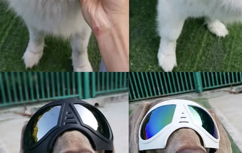 dog sunglasses with UV protection for small to large dogs, windproof pet eye wear for swimming and skating