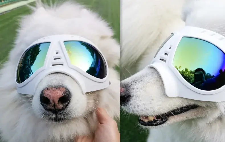 dog sunglasses with UV protection white dog goggles for swimming and skating, windproof pet eye wear