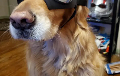 Cool Dog Sun Glasses UV Protection Windproof Goggles Pet Eye Wear Dog Swimming Skating Glasses Pet Accessories