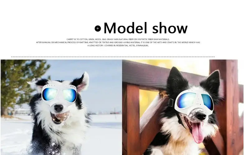 dog sunglasses with UV protection for small, medium, and large dogs, windproof pet eye wear for swimming and skating