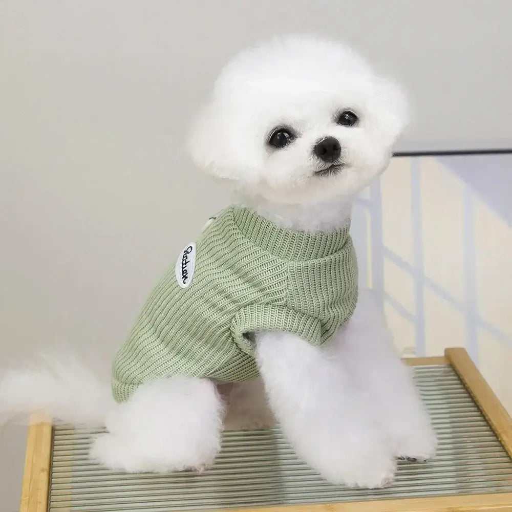 dog sweater for small dogs on a white puppy wearing a green knit winter pet shirt