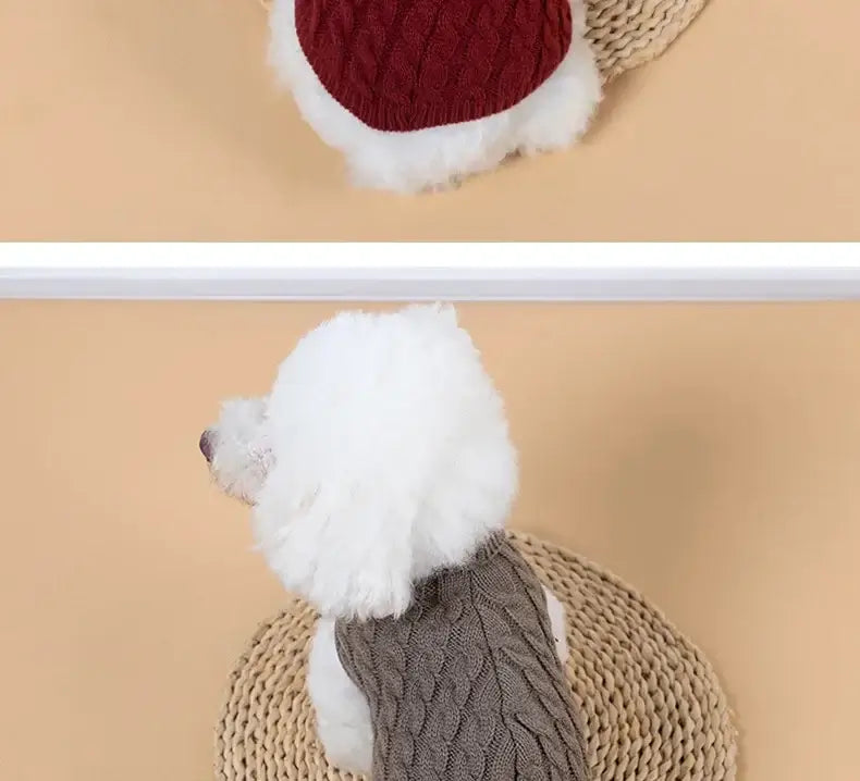 small dog winter sweater for Chihuahua and Yorkie, soft knitted turtleneck pet vest, warm winter dog clothes