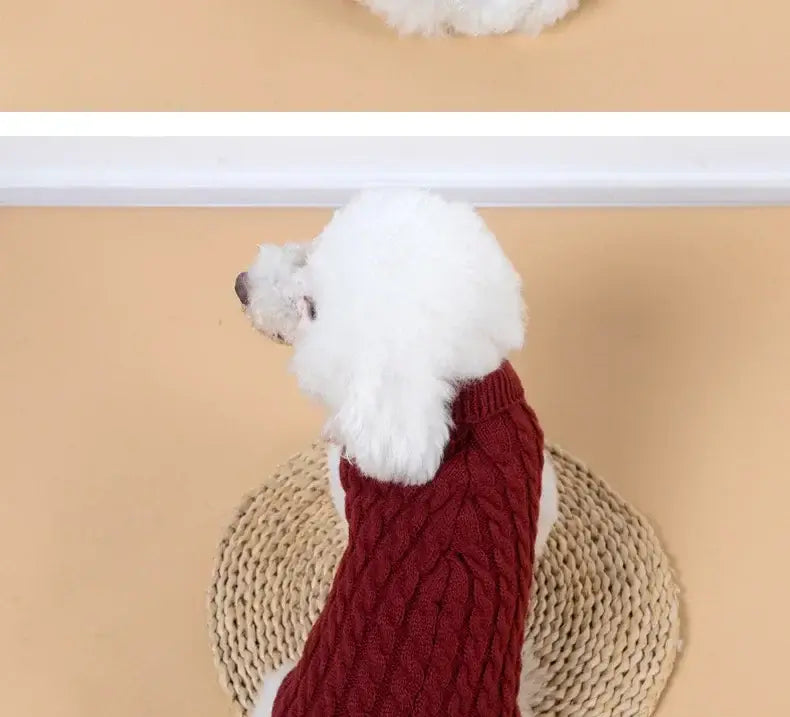 small dog winter sweater red knitted turtleneck for Chihuahua, Yorkie, and small medium dogs