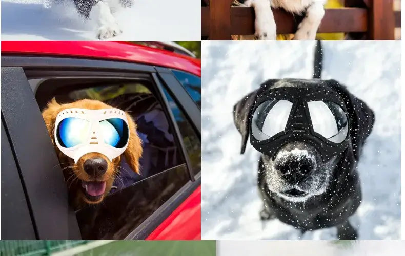 dog sunglasses with UV protection for small, medium and large dogs, windproof goggles for swimming and skating