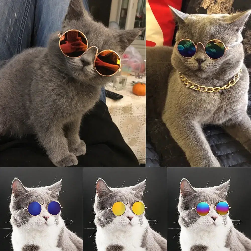 dog vintage round glasses for pets, retro round sunglasses for cats and puppies, colorful metal eyewear prop