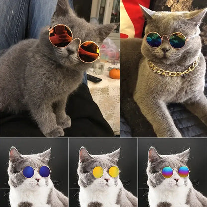 dog vintage round glasses for pets, retro round sunglasses for cats and puppies, colorful metal eyewear prop