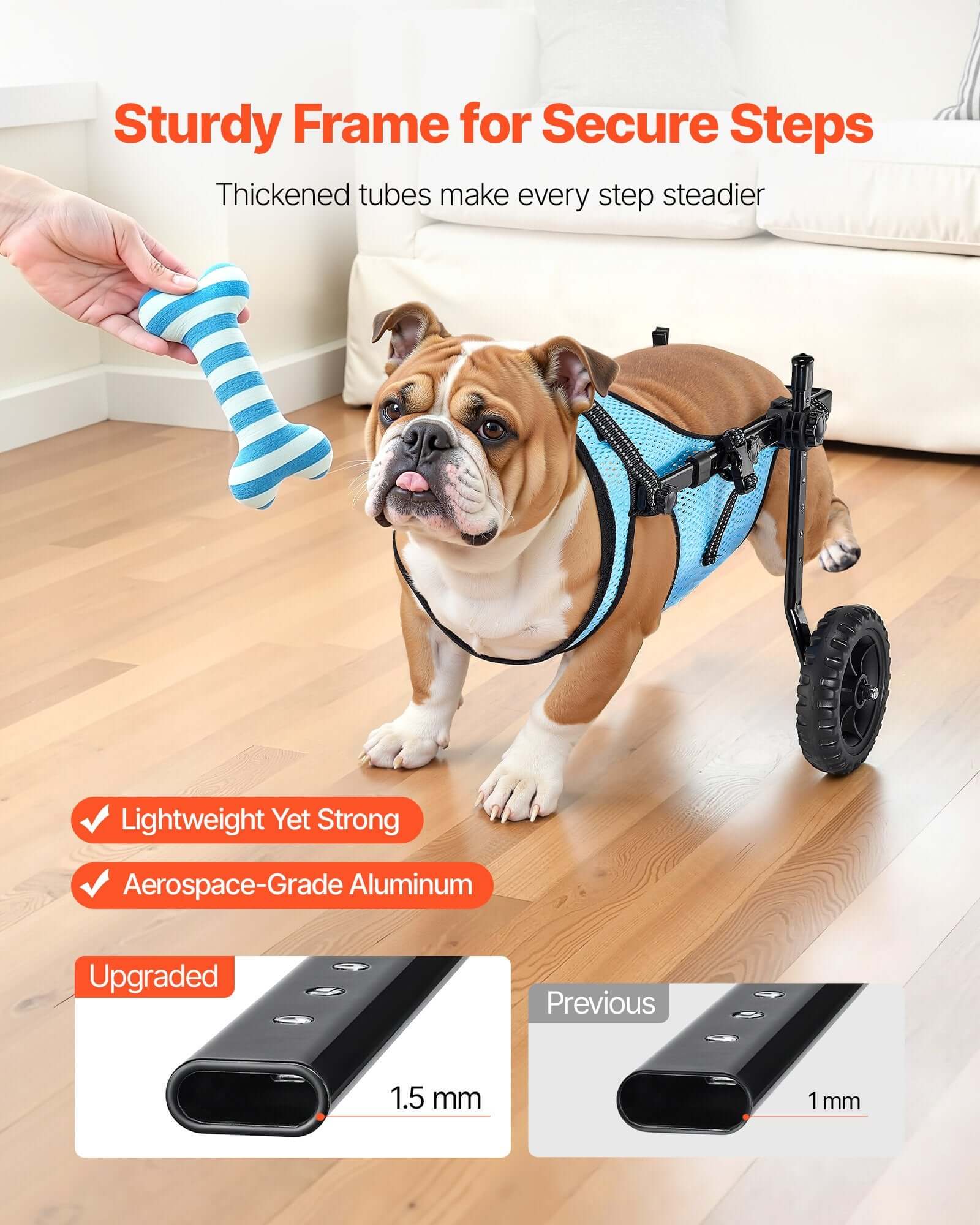 Dog using adjustable dog wheelchair for back legs, showcasing sturdy frame and lightweight design for mobility support.