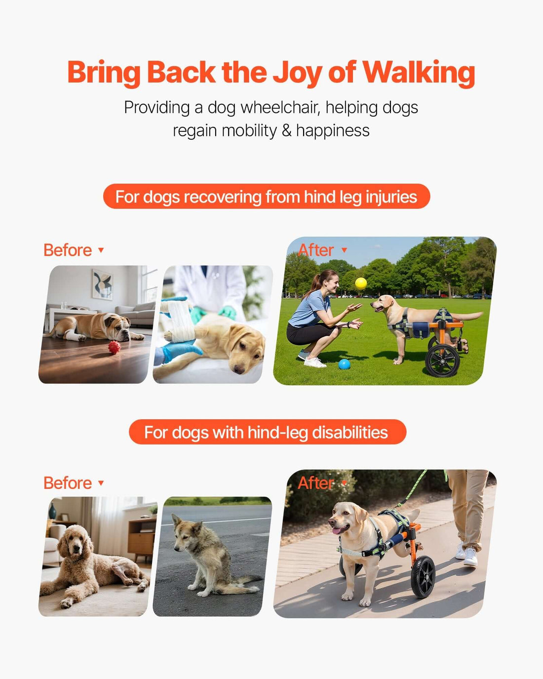 medium dog wheelchair for back legs helping dogs regain mobility and happiness before and after recovery