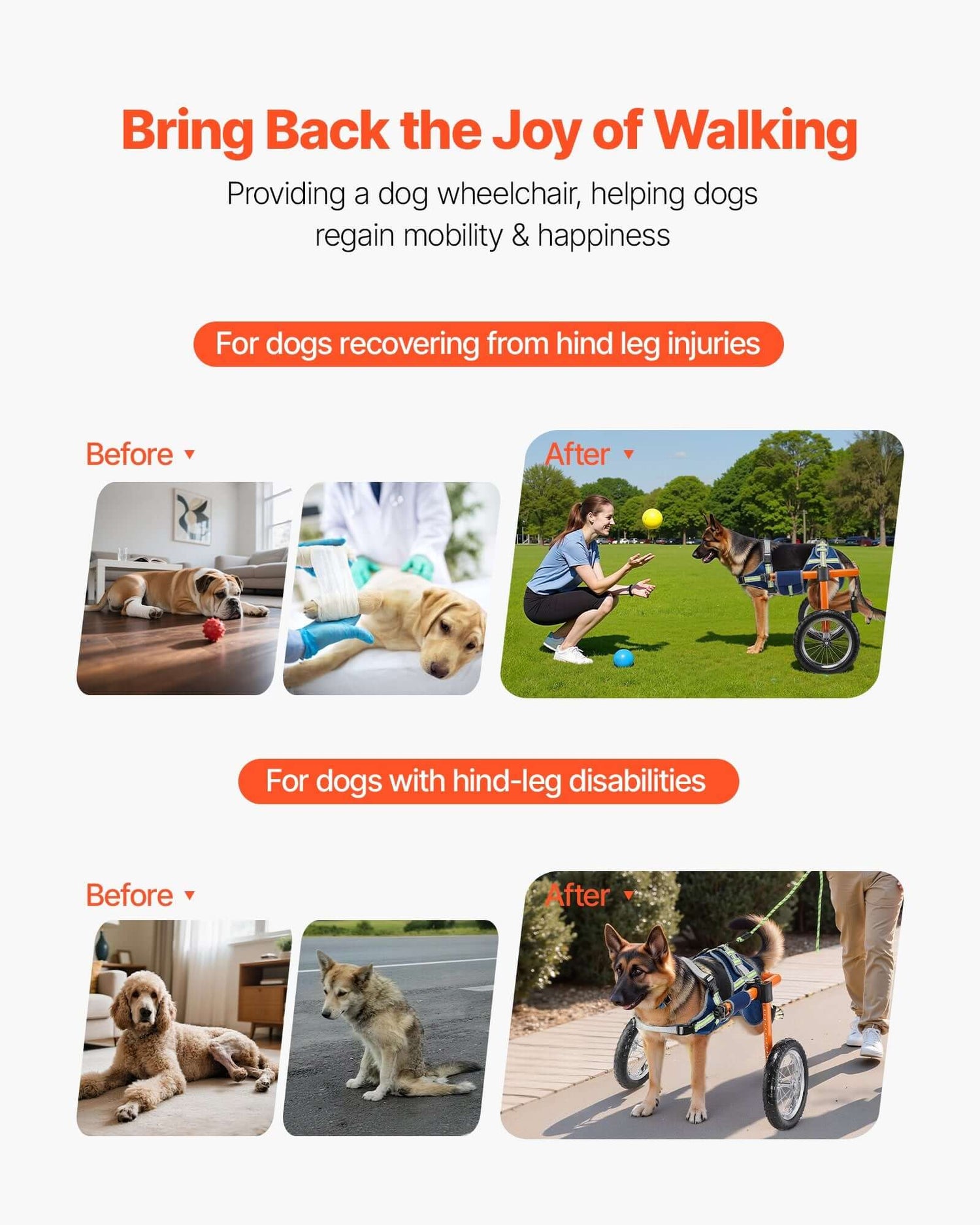 Image showing the transformation of dogs with hind leg injuries using a lightweight dog wheelchair for back legs.