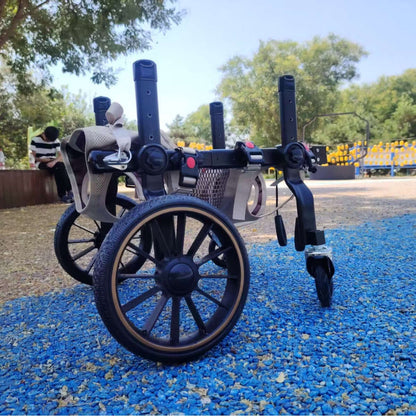 Dog wheelchair for hind limb paralysis placed on blue gravel in a park, designed for mobility aid for disabled dogs.