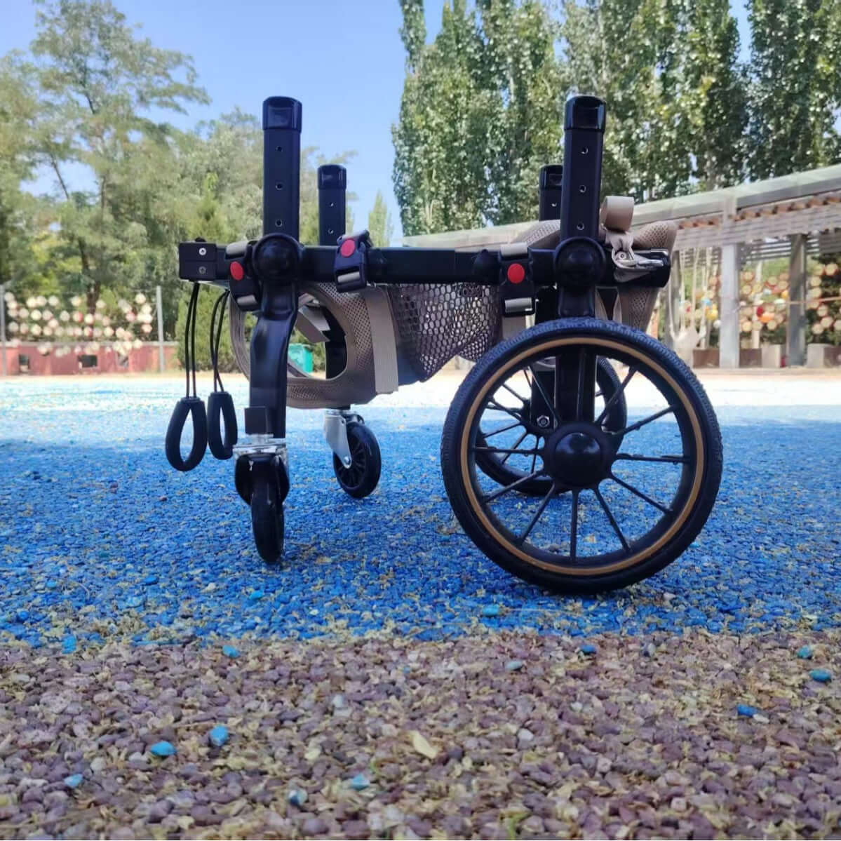 Dog wheelchair for hind limb paralysis designed for mobility and support for disabled dogs in a colorful outdoor setting.