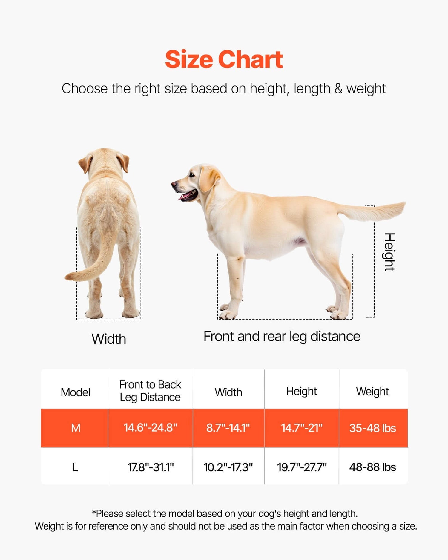Size chart for medium dog wheelchair for back legs including measurements for width, height, and weight.