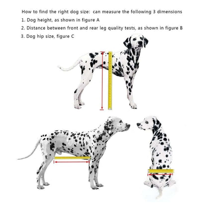 How to measure dog size for adjustable dog wheelchair: height, front-rear leg distance, and hip size instructions.