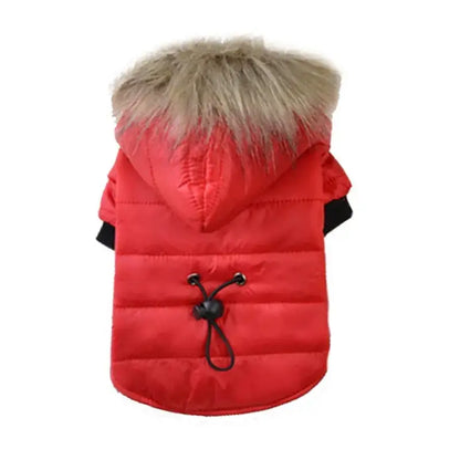 Red small dog winter jacket with fur hood, warm padded pet coat for small and medium dogs, puppies, cats, and rabbits