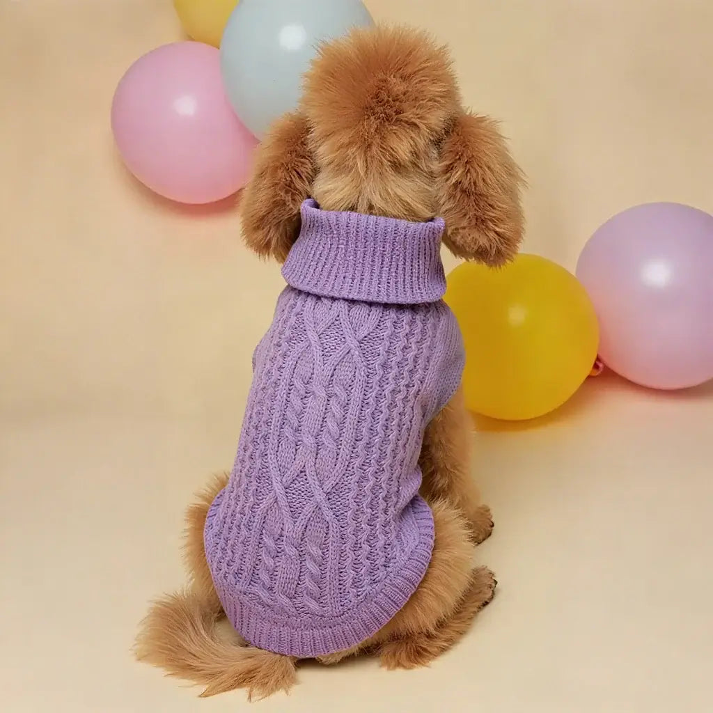dog winter sweater purple knit pet clothing on a small dog, soft warm winter outfit for outdoor use
