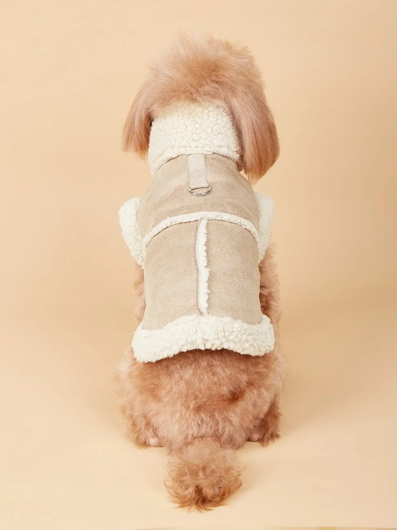 Cute small dog wearing warm dog winter vest, soft fleece-lined beige pet jacket for autumn and winter cold weather