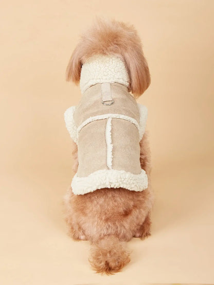 Cute small dog wearing warm dog winter vest, soft fleece-lined beige pet jacket for autumn and winter cold weather
