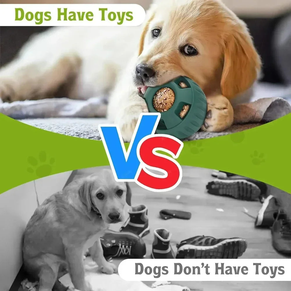 Dogs Have Toys vs Dogs Don&