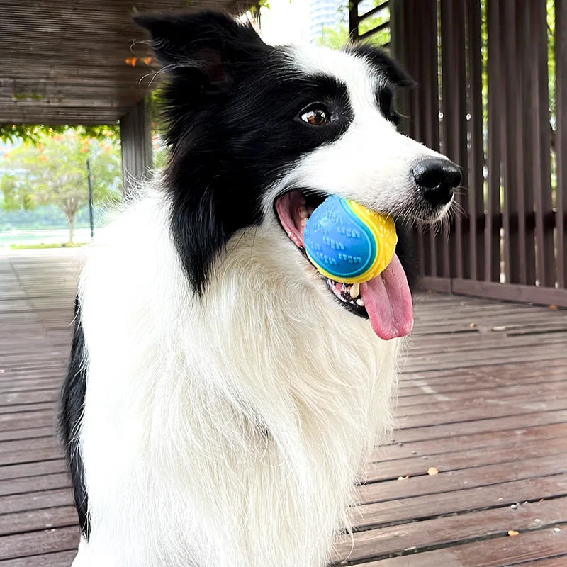 Dogs Interactive Toys Soft TPR Toys for Dog Pet Teeth Cleaning Bite Resistance Squeaky Dog Ball Toy in dog&