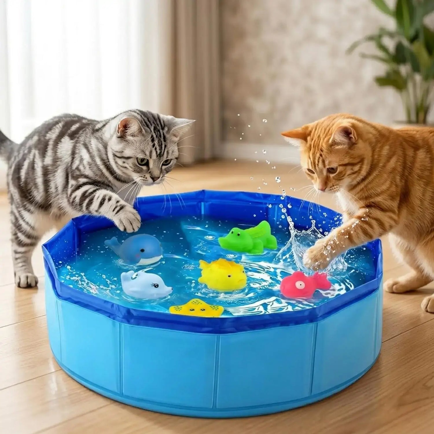 Cats playing with floating toys in a foldable dog bathing pool filled with water.