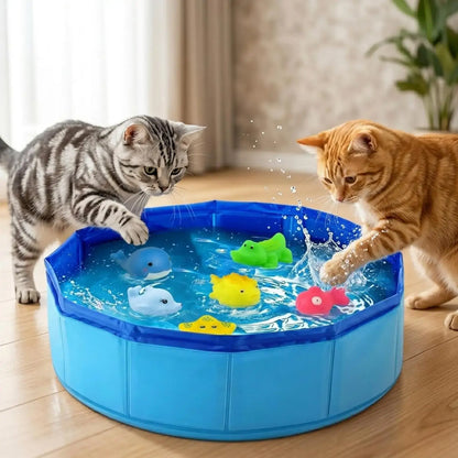 Cats playing with floating toys in a foldable dog bathing pool filled with water.