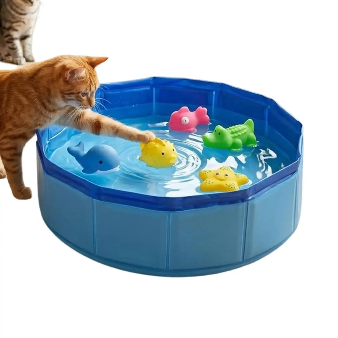 Foldable dog bathing pool with colorful floating toys, featuring a playful cat reaching for a fish.