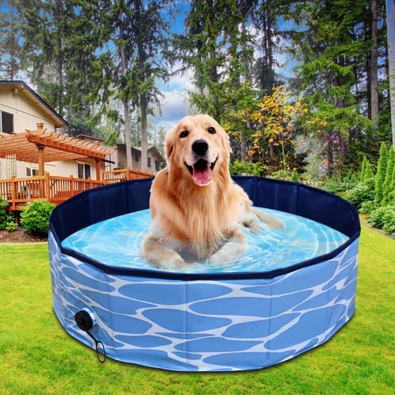 Golden retriever relaxing in a foldable dog swimming pool outdoors with blue water pattern.