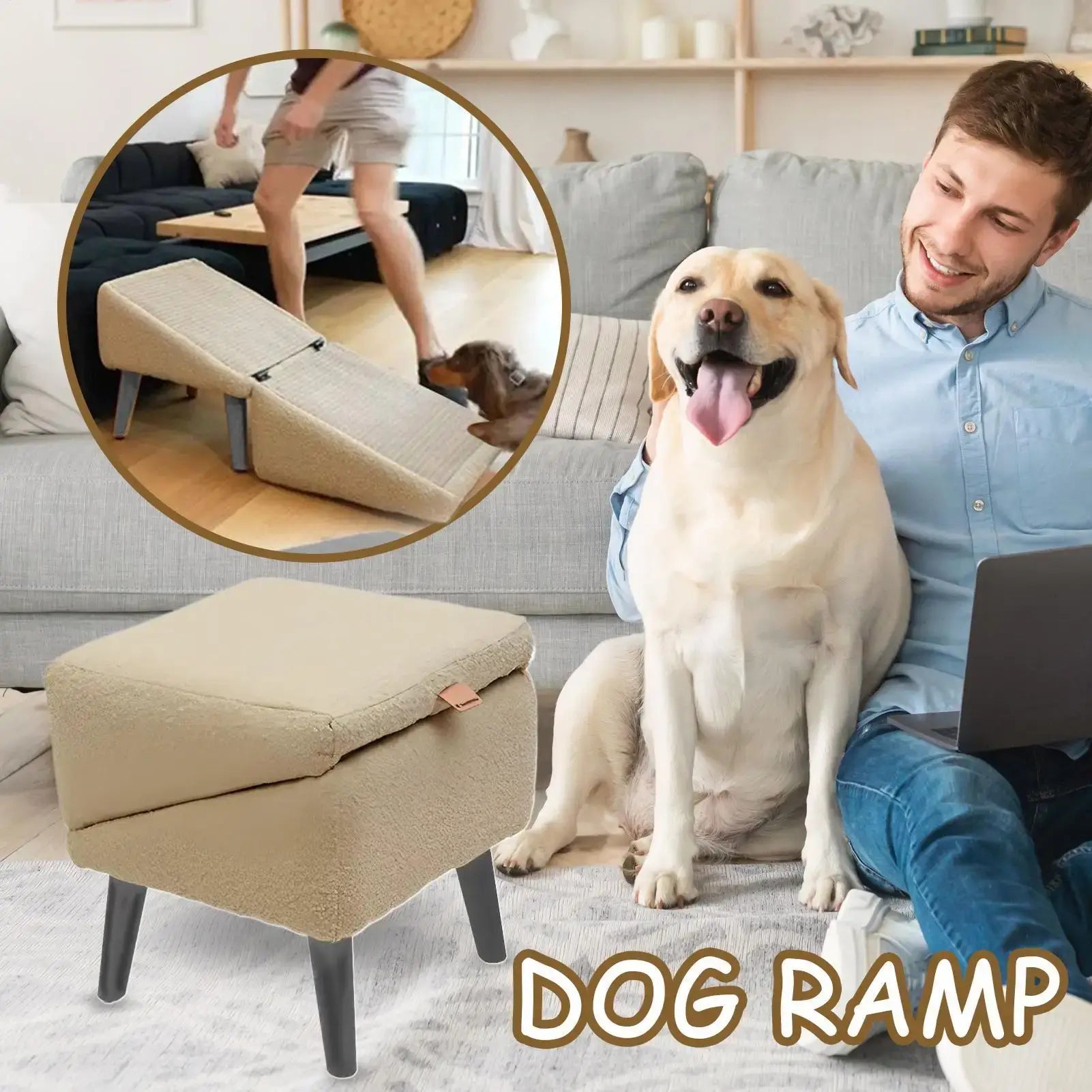 Foldable dog vehicle ramp shown in living room helping pets climb onto furniture.