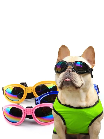 French bulldog wearing dog sunglasses and green vest with colorful foldable pet goggles on white background