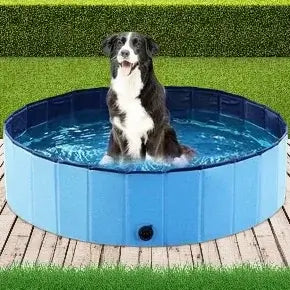 Portable dog bathing tub with a happy dog sitting in water, perfect for outdoor use and easy drainage.