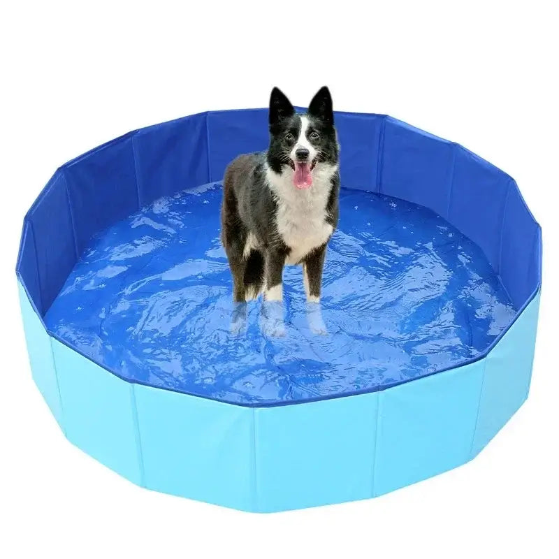 A dog enjoying the Foldable Pet Pool, a portable dog bathing tub, perfect for outdoor fun.