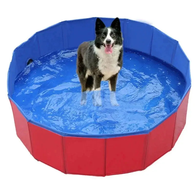 Foldable pet pool with dog enjoying water, ideal for outdoor fun. Perfect for use as a portable dog bathing tub.