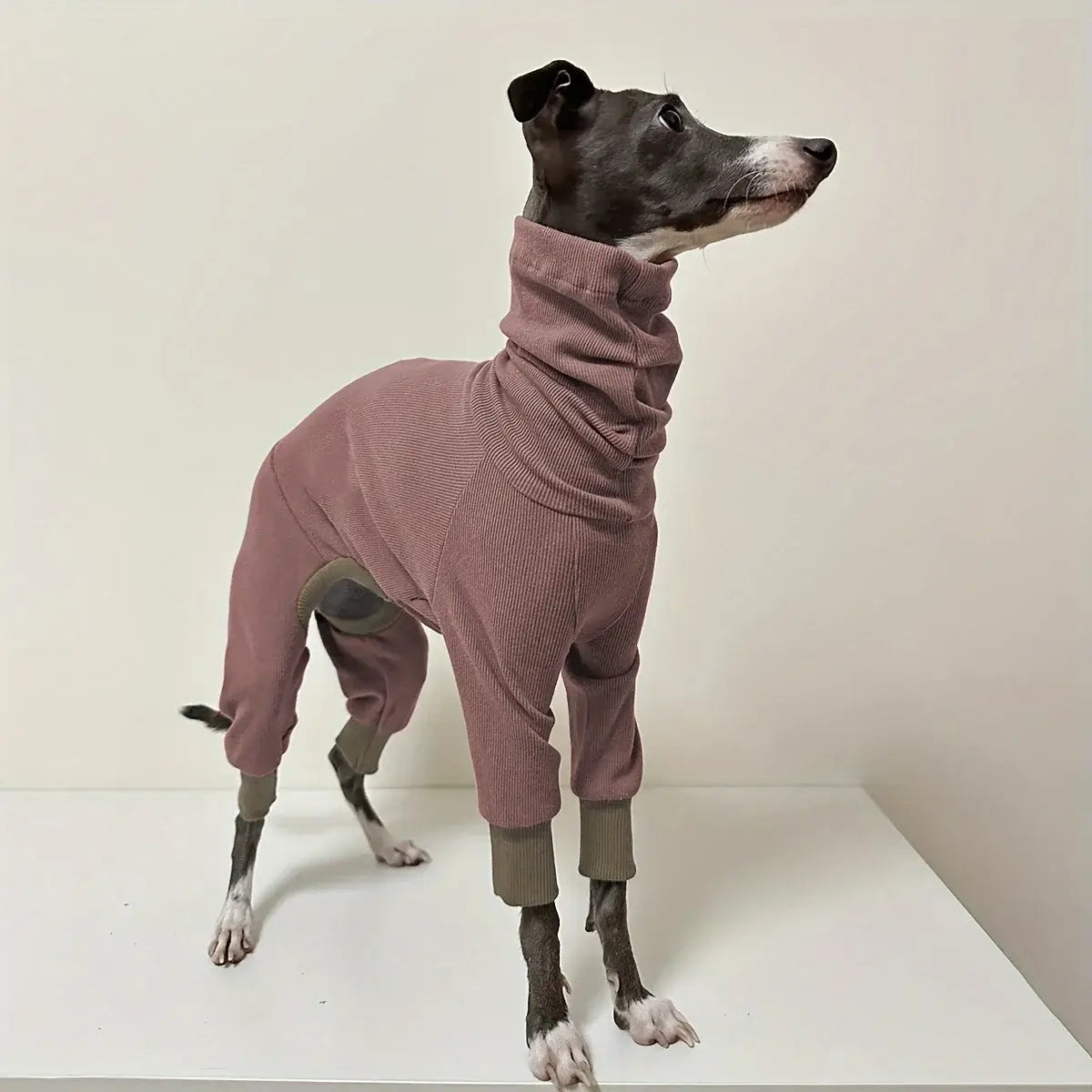 dog fleece jacket for greyhounds, warm four-legged pet clothing with snug high neck and comfortable fit
