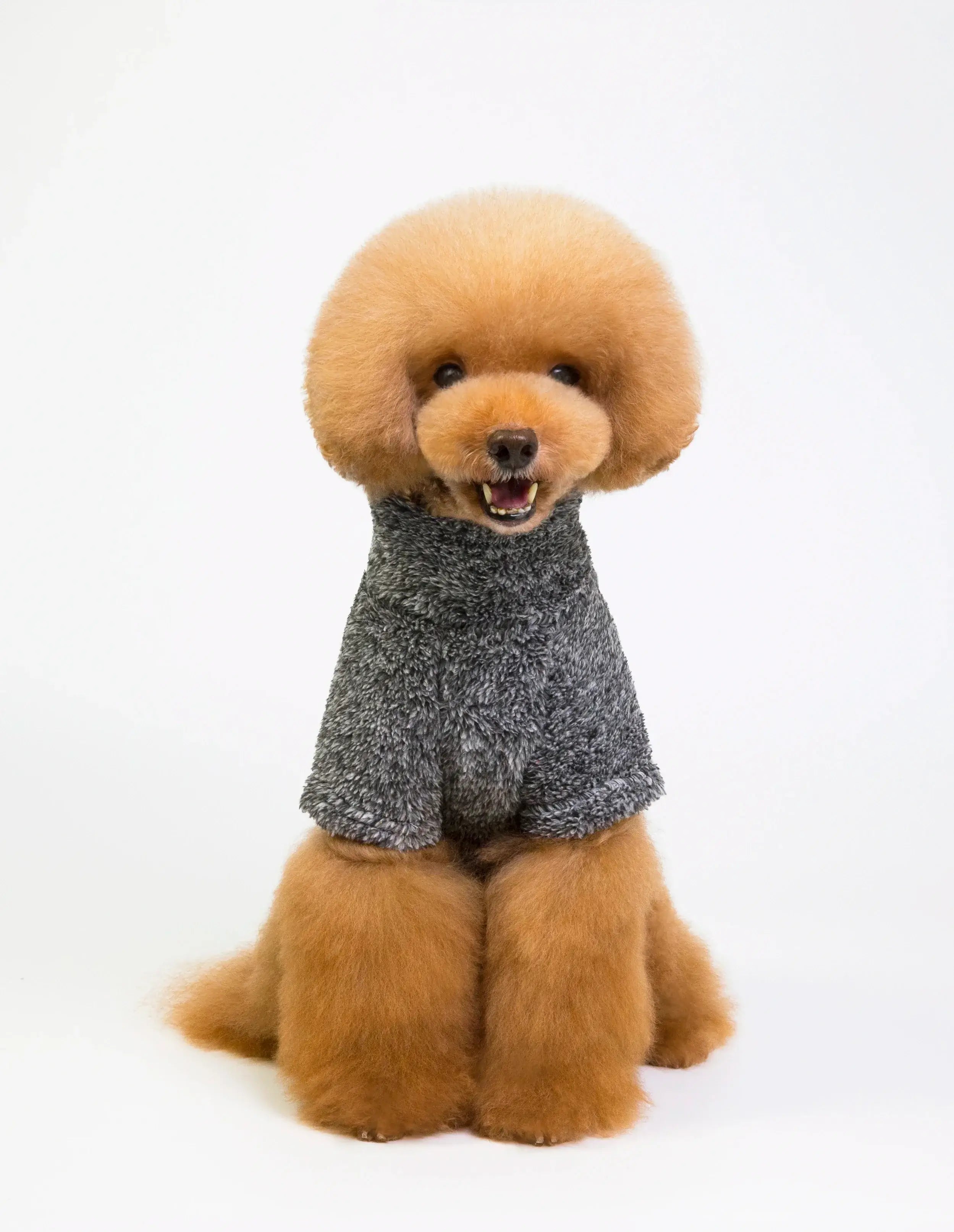 French Bulldog Fleece Sweater Fashion Winter Warm Coat Jacket Pet Dog Clothes Small Medium Dogs Corgi Chihuahua Pug Hoodie