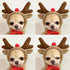Pet Dog Clothes for Dogs Hoodies Funny Fruit Dog Coat Puppy Pet Clothing for Dogs Costume Chihuahua Yorkshire Ropa Perro