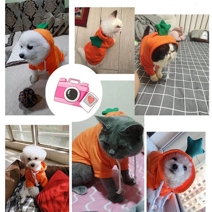 Pet Dog Clothes for Dogs Hoodies Funny Fruit Dog Coat Puppy Pet Clothing for Dogs Costume Chihuahua Yorkshire Ropa Perro styled dogs in orange outfits.
