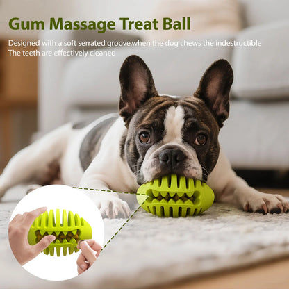 Dog chewing a Gum Massage Treat Ball designed for effective teeth cleaning and gum massage.