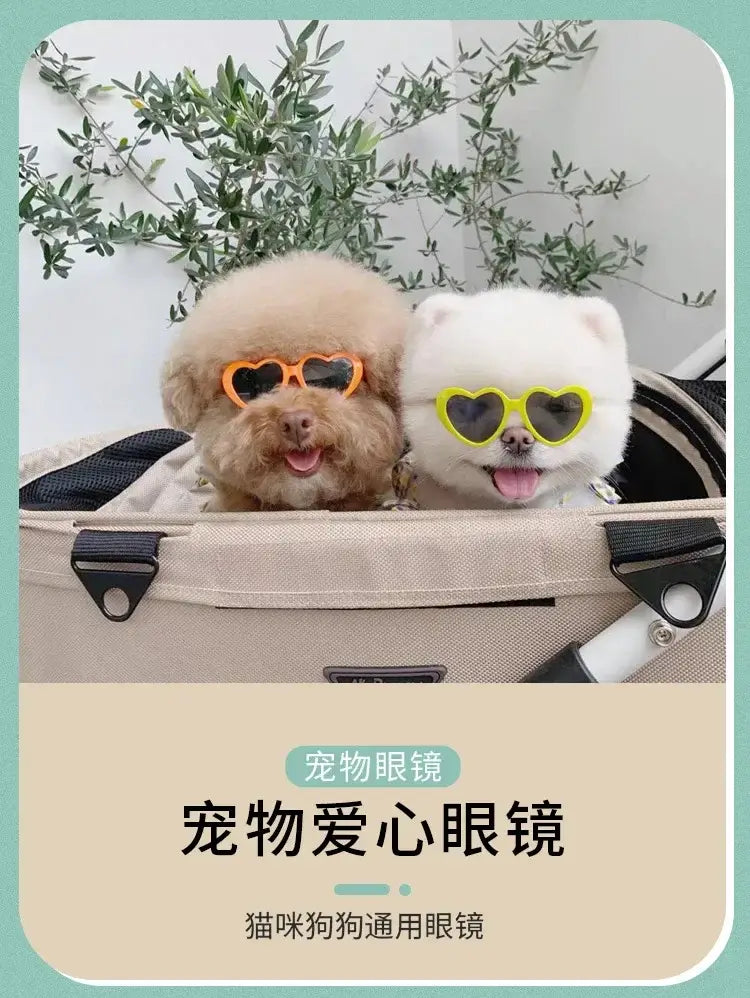 heart shaped dog glasses on two small dogs in a pet carrier for summer party photos